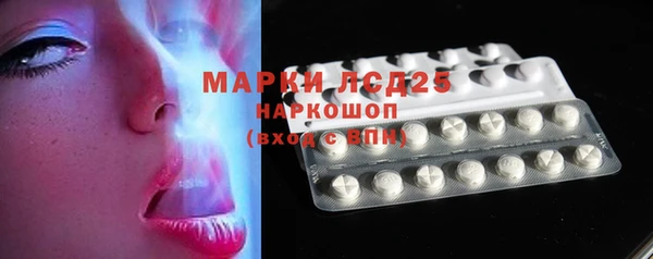 шишки Баксан