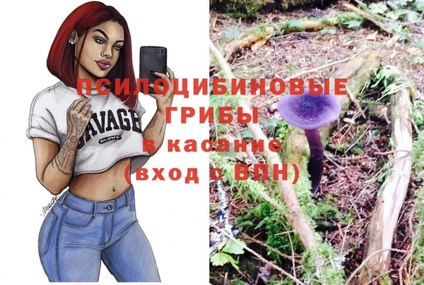 шишки Баксан