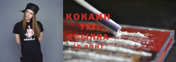 шишки Баксан