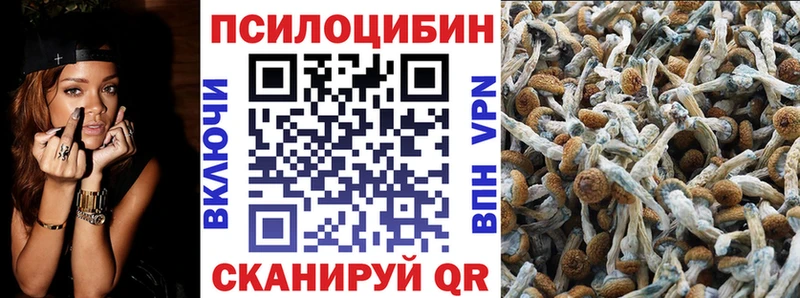 наркошоп Нижняя Тура Псилоцибиновые грибы Psilocybe